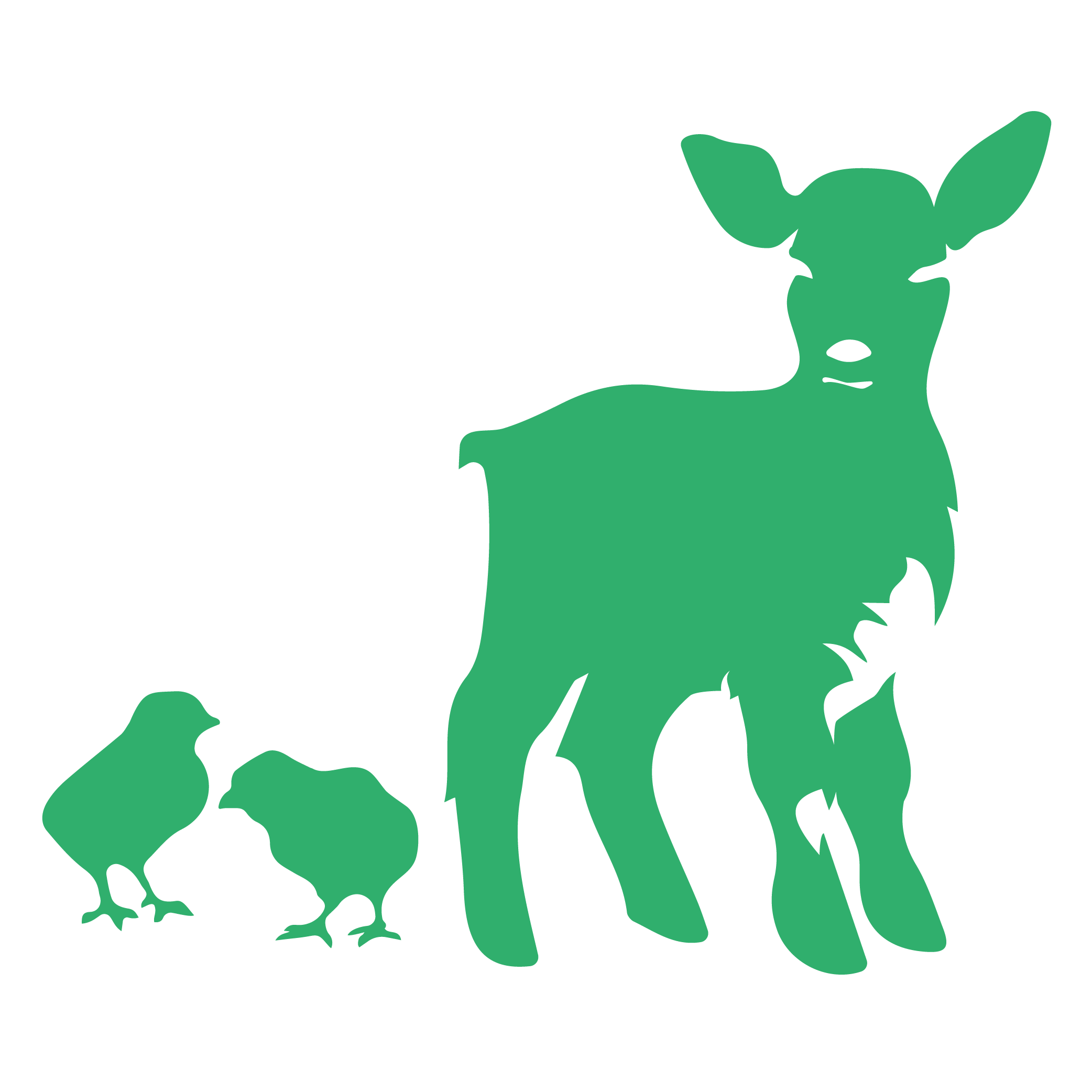 FairbankFarm_Animals_colour